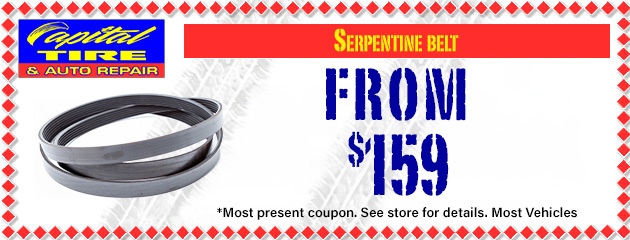 Serpentine Belt Specials